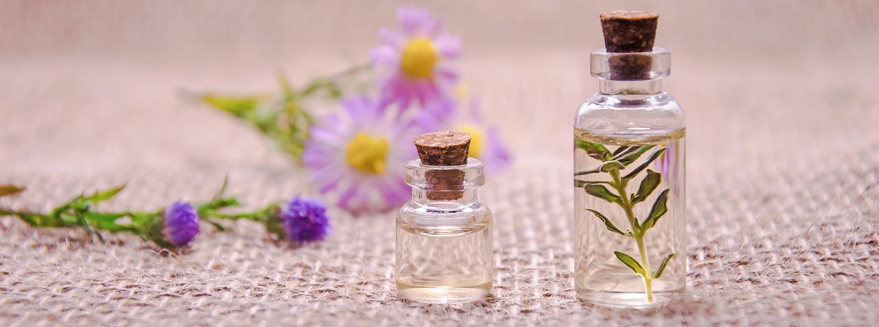 Cilantro Oil: The Complete Guide to Coriander Leaf Essential Oil